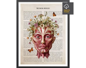 Facial Muscles Anatomy Print, Chiropractor Gift,  Ear, nose and throat doctor, Licensed Massage Therapist Graduation, Physical Therapy Decor