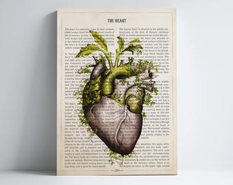 Heart Anatomy Print, Medical Poster, Cardiologist Gift idea, Cardiology Decor, Medical School, Wall Art, Medical Decor, Heart Poster