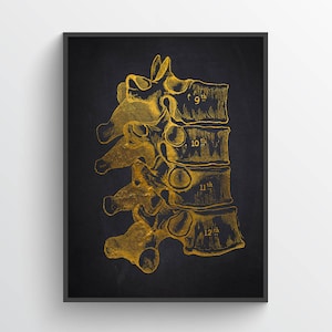 Dorsal Vertebrae Anatomy Print, Chiropractor Gift Idea, Anatomical Vertebral column, Neurosurgeon Art, Orthopedic office decor