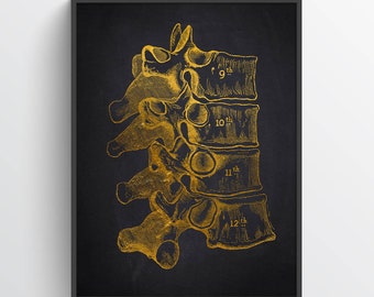 Dorsal Vertebrae Anatomy Print, Chiropractor Gift Idea, Anatomical Vertebral column, Neurosurgeon Art, Orthopedic office decor