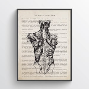 Muscles of the Back Print, Chiropractor Gift, Licensed Massage Therapist Graduation, Physical Therapist Decor, Registered Massage Therapist