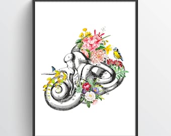 Inner Ear Anatomy Flower Print, AUD, Audiology Gift, Hearing Doctor, ENT Gift, Audiologist, ENT Student Graduation, Medical Decor