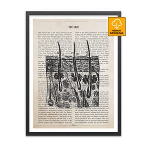 Haut Anatomisches Diagramm, Haarfollikel Illustration, Vintage Medizinisches Poster, Dermatologie Kunstdruck, Menschliche Hautschichten Diagramm Dekor