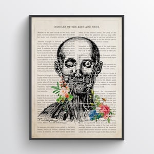 Muscles of the Face and Neck Anatomy Print, Chiropractor Gift, Licensed Massage Therapist Graduation, Physical Therapy Decor, RMT Graduation