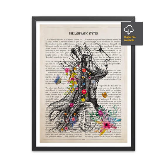 Lymphatic System Anatomy Print, Endocrinology Print, Lymph nodes, Physician Graduation Print, Lymphologist, Hematologist, Oncologist Art