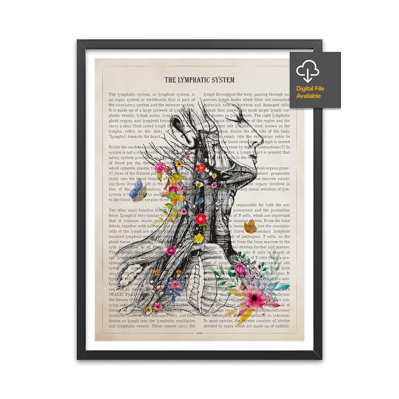 Lymphatic System Anatomy Print, Endocrinology Print, Lymph nodes, Physician Graduation Print, Lymphologist, Hematologist, Oncologist Art image 1