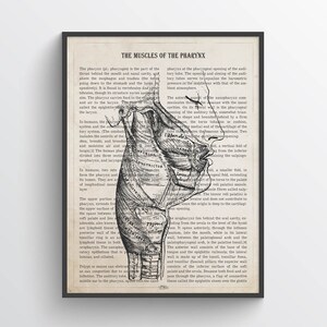 Muscles of the Pharynx Anatomy Print, Gift for ENT, Doctor Office Decor, Medical Wall Art, Otolaryngologist Gift Idea
