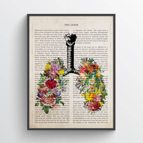 Lungs Flower Anatomy Print Medical Poster Respiratory Etsy