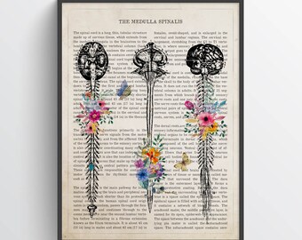 Medulla Spinalis Anatomy Flower Print, Chiropractor Gift Idea, Anatomical Spinal cord, Neurosurgeon Art, Orthopedic Office decor