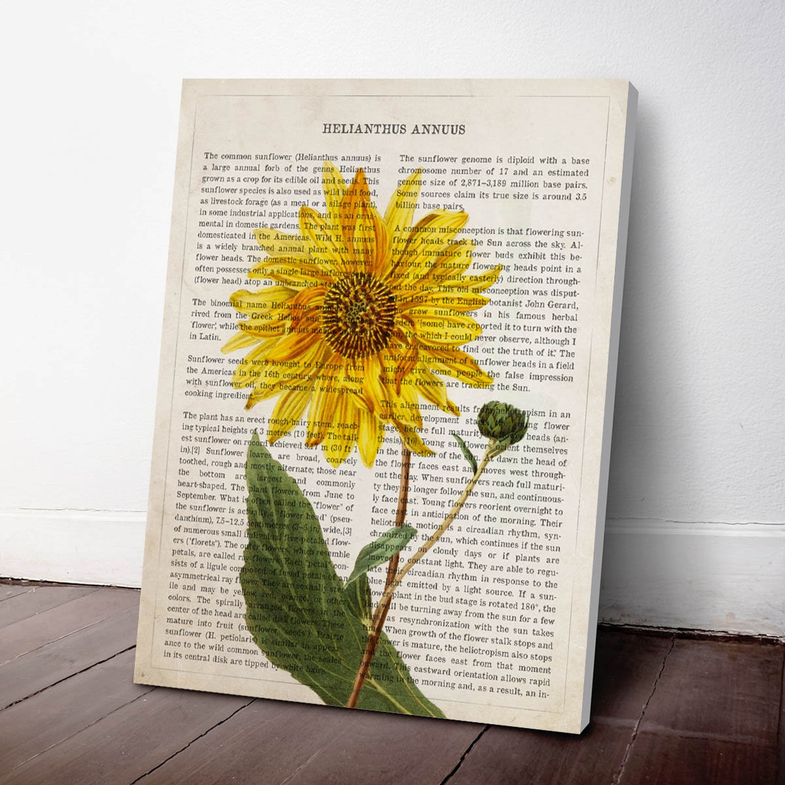 Sunflower Print Housewarming Gift Sunflower Dictionary Art - Etsy