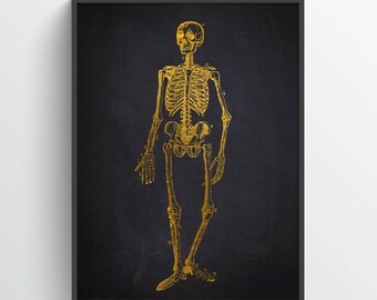 Skelett Anatomie Druck, Arzt Büro Dekor, Arzt Abschluss Geschenk, Geschenk für Physiotherapeuten, Physiotherapeut Medizinische Kunst