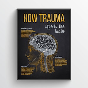 How Trauma Affects The Brain print, Brain anatomy, Psychology Poster, Mental Health Gift, Cognitive Behavioral Therapy, Traumatologist Gift