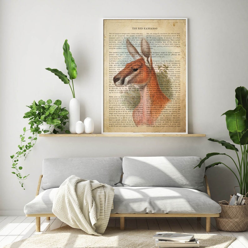 Puede incluir: Una ilustraci&oacute;n vintage de un canguro rojo con texto sobre el animal. El texto incluye el t&iacute;tulo "The Red Kangaroo" y detalles sobre el tama&ntilde;o, el h&aacute;bitat y el comportamiento del animal. La ilustraci&oacute;n est&aacute; impresa en papel crema y enmarcada en un marco blanco.