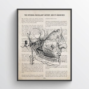 Maxillary Artery Anatomy Print, Gift for Vascular Doctor, Vascular Surgeon Office Medical Decor, Axillary Artery Poster for Medical Student