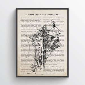 Internal Carotid Arteries Anatomy Print, Gift for Cardiologist and Vascular surgeons, Vascular medicine specialists, Medical Student Gift