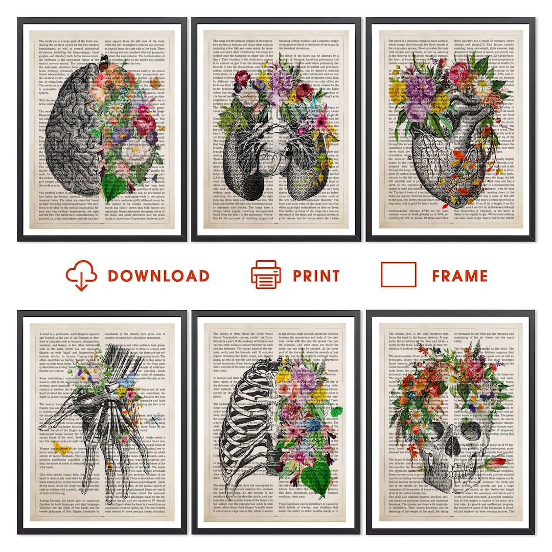 Human Anatomy Prints Set of 6 | Medical Wall Art | Vintage Anatomy ...