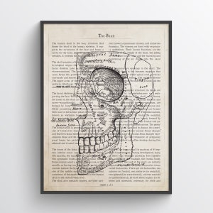 Human Skull Anatomy Print,  MD Student Graduation Gift, Medical School Wall Art, Medical Office Decor, Skull Art Print, Doctor Gift