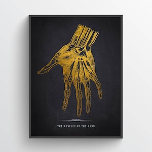 Hand Anatomy Print, Massage Therapist, Chiropractor Gift, Medical Student Present, Chiropractic Office Decor, Orthopedic Wall Art