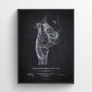 Muscles of the Pharynx Anatomy Print, Gift for ENT, Doctor Office Decor, Medical Wall Art, Otolaryngologist Gift Idea, Decor for Clinics