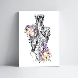 Muscles of the Back Anatomy Print, Chiropractor Gift, LMT Graduation, Physical Therapy Decor, Registered Massage Therapist