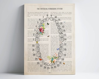 Universal Numbering System with Flower Print, Dental Art, Gifts for Dentist Student Graduation, Dentist & Dental Hygienist Clinic Decor