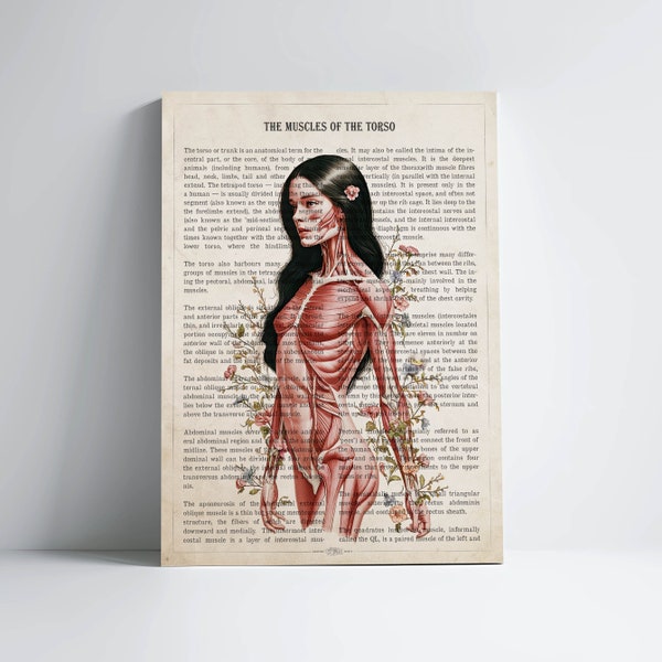 Muscles of the Torso Print, Registered Massage Therapist Gift, Licensed Massage Therapist Graduation, Physical Therapist Decor, Chiropractor