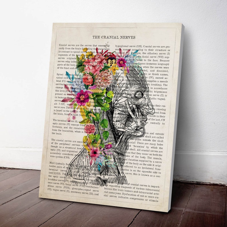 Cranial Nerves Flower Anatomy Print, Medical Poster, Neurologist Gift ...