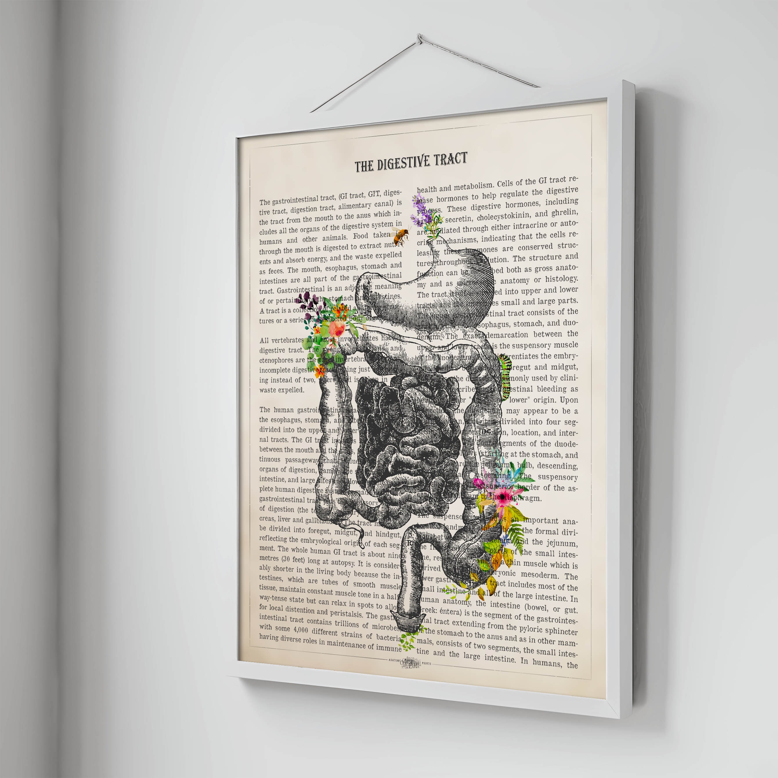 Digestive Tract Anatomy Flower Print, Intestine, Stomach Art, Medical ...
