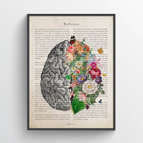 Medical School Student Graduation Gift Medical Student Gift Neuron Custom Frame Anatomy Medical Gift for Brain Doctor /& Surgeon