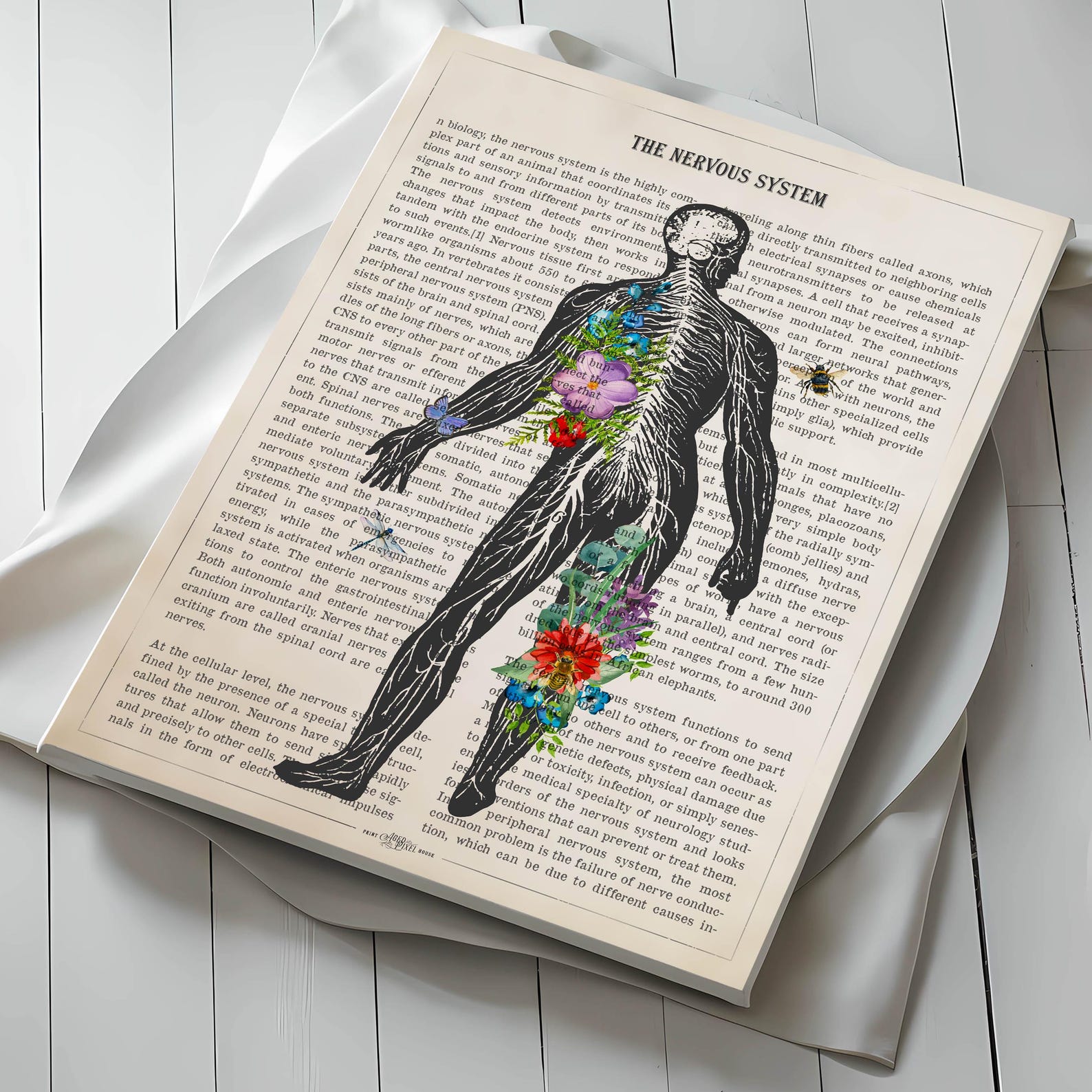 Nervous System Print, Nerve Anatomy Human Body Flower Art, Doctor ...