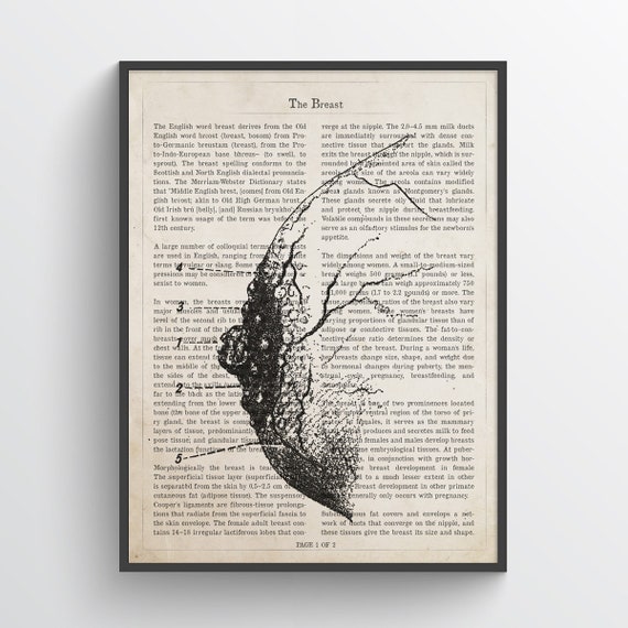 Breast Anatomy Print Breast Art Mammary Gland Print OBGYN | Etsy
