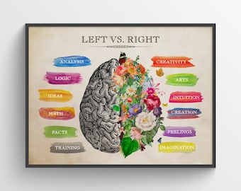 May include: A vintage illustration of a human brain divided in half, with the left side labeled with words like "analysis", "logic", "ideas", "math", "facts", and "training", and the right side labeled with words like "creativity", "arts", "intuition", "creation", "feelings", and "imagination". The right side of the brain is filled with colorful flowers.
