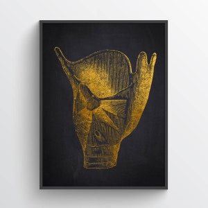 Larynx Anatomy Print, Speech Language Pathologist Gift, Office Decor For SLP or Speech Therapist, ENT Art, Otolaryngologist Decor