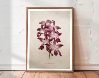 Orchid Print Retro Botanical Wall Art Vintage Flower Poster and Canvas Tropical Floral Decor for Living Room & Office