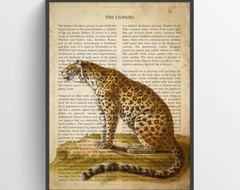 Vintage Leopard Print, Safari Painting, Panther Illustration, Leopard Art, Antique Natural History Drawing, Zoo animals