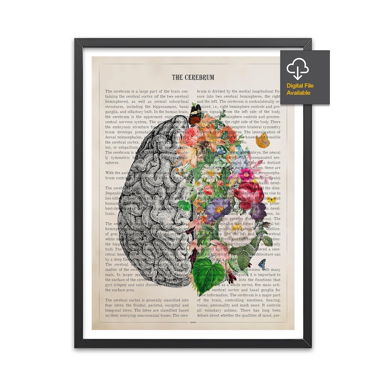 Brain Art Flower Anatomy Print, Psychology, Neurologist gift, Psychologist Gift Idea, Medical Poster, Med School, Medical Decor image 1