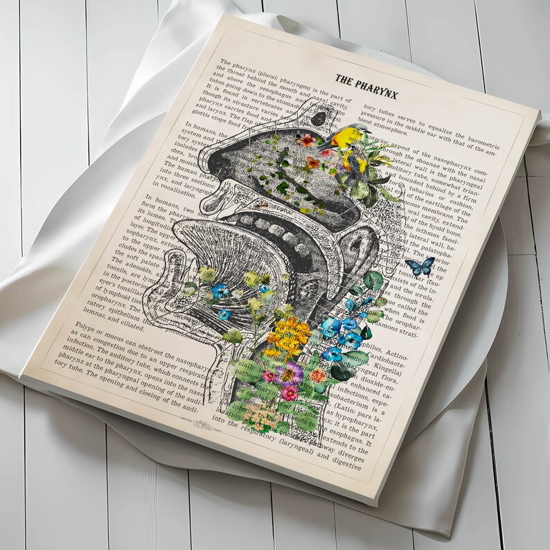 May include: A vintage anatomical illustration of the human pharynx, a part of the throat, with a detailed diagram of the nasal cavity, mouth, and oesophagus. The illustration is overlaid with colourful floral designs, creating a unique and artistic aesthetic.