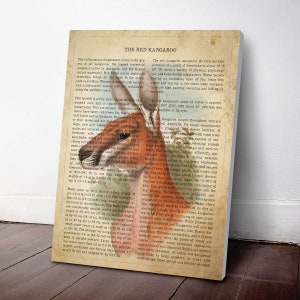 Puede incluir: Una ilustraci&oacute;n vintage de un canguro rojo con texto sobre las caracter&iacute;sticas y el h&aacute;bitat del animal. El texto incluye informaci&oacute;n sobre el tama&ntilde;o, la dieta y el rango del canguro rojo.
