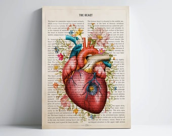 Affiche médicale « Cœur et fleur » (Anatomie), Idée cadeau pour cardiologue, Décoration cardiologique, École de médecine, Art mural, Décoration médicale, Affiche « Cœur »