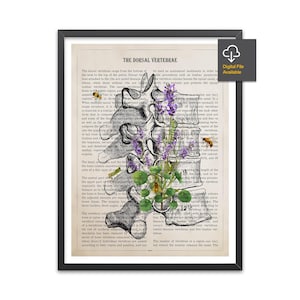 Dorsal Vertebrae Anatomy Print, Chiropractor Gift Idea, Anatomical Vertebral column, Neurosurgeon Art, Orthopedic office decor