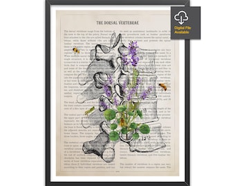 Dorsal Vertebrae Anatomy Print, Chiropractor Gift Idea, Anatomical Vertebral column, Neurosurgeon Art, Orthopedic office decor