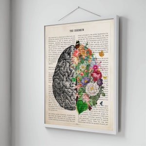 May include: A vintage anatomical illustration of the human brain with a floral design overlay. The left side of the brain is depicted in black and white, while the right side is filled with colorful flowers and leaves. The text "THE CEREBRUM" is visible at the top of the image.