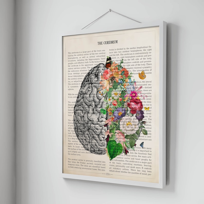 May include: A vintage anatomical illustration of the human brain with a floral design overlay. The left side of the brain is depicted in black and white, while the right side is filled with colorful flowers and leaves. The text "THE CEREBRUM" is visible at the top of the image.