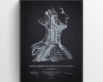 Lymphatics & Glands Anatomy Print, Endocrinology Print, Lymph nodes, Physician Graduation Print, Lymphologist, Hematologist, Oncologist Art