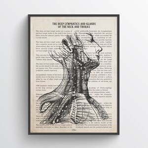 May include: A black and white anatomical illustration of the deep lymphatics and glands of the neck and thorax. The illustration shows the lymph nodes and vessels of the neck and upper chest. The text describes the deep cervical lymph nodes and their classification. The text also mentions Henri Rouvière's 1932 publication, Anatomie des Lymphatiques de l'Homme.