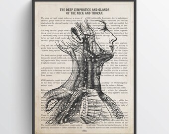 Lymphatics & Glands Anatomy Print, Endocrinology Print, Lymph nodes, Physician Graduation Print, Lymphologist, Hematologist, Oncologist Art