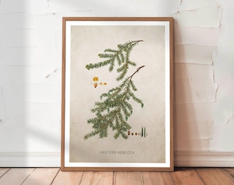 Retro Eastern Hemlock Print Vintage Tree Art Rustic Forest Decor Poster or Canvas Woodland and Cabin Wall Art Hunting Gift for Dad