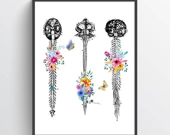 Medulla Spinalis Anatomy Flower Print, Chiropractor Gift Idea, Anatomical Spinal cord, Neurosurgeon Art, Orthopedic Office decor