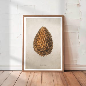 Pine Cone Art Print Retro Conifer Botanical Poster Vintage Forest Wall Decor for Rustic Cabin Tree Wall Art Hunting Gift for Dad