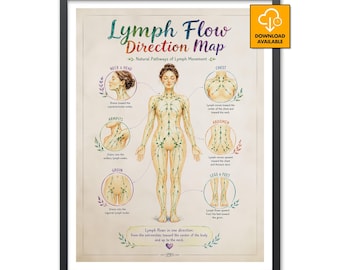 Lymph Flow Direction Map Poster Lymphatic Drainage Massage Therapist LMT Office Decor Esthetician MLD Anatomy Chart Spa Wall Art Print Gifts